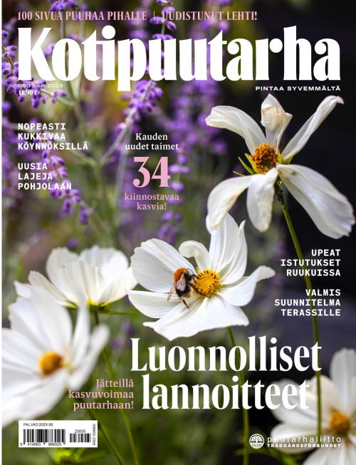 Kotipuutarha