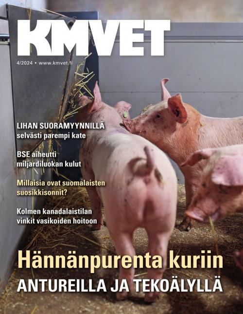 KM VET