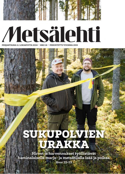 Metsälehti