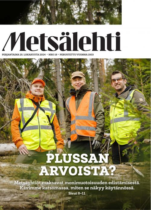 Metsälehti