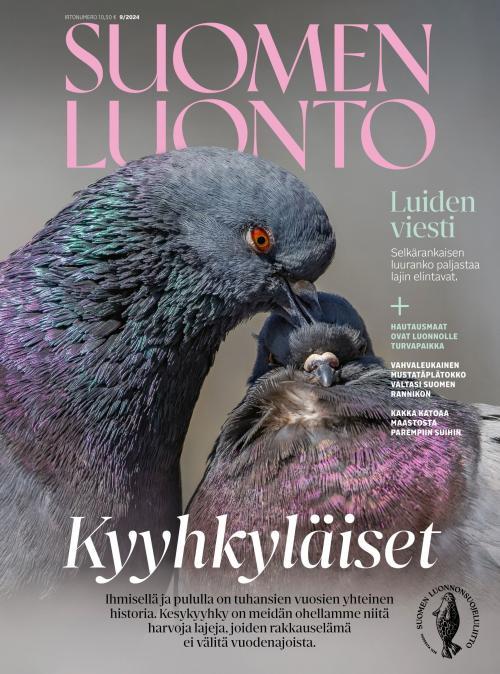 Suomen Luonto