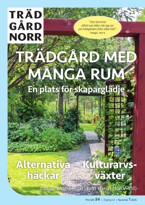 Trädgård Norr