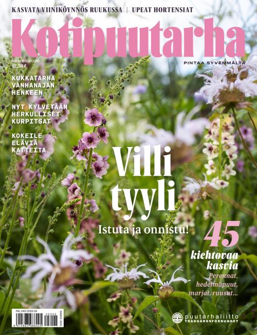 Kotipuutarha