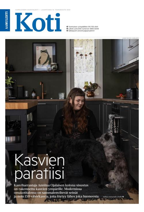 Aamulehti liitteet