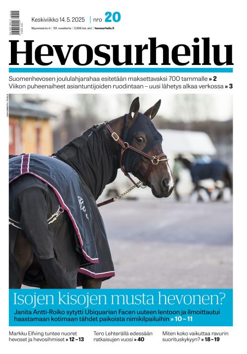 Hevosurheilu