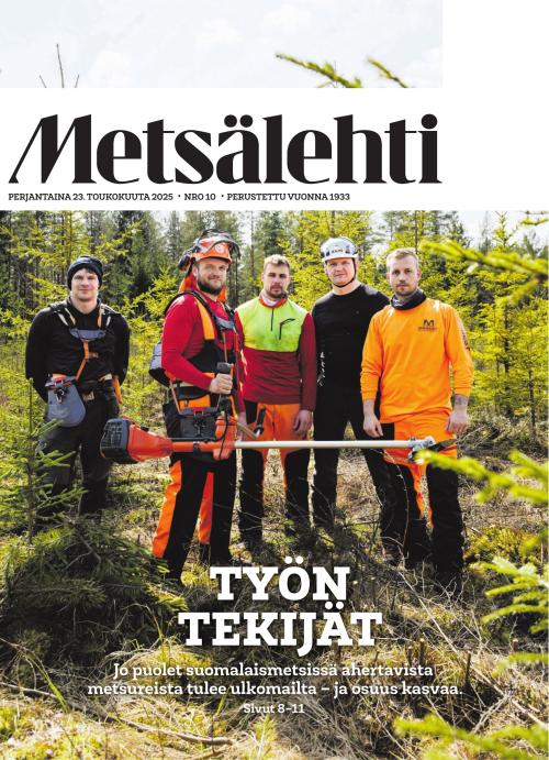 Metsälehti