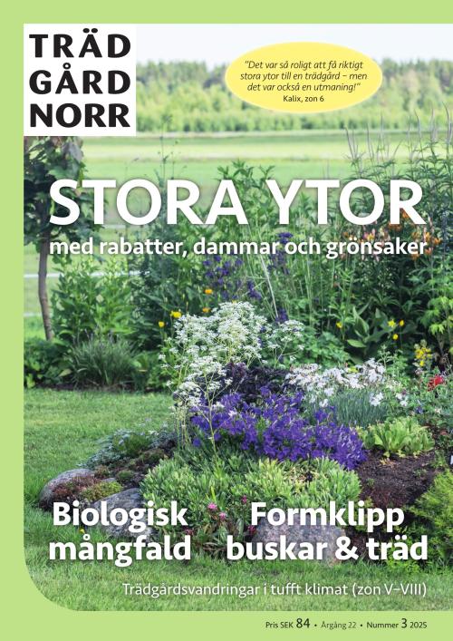 Trädgård Norr