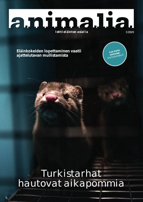 Animalia