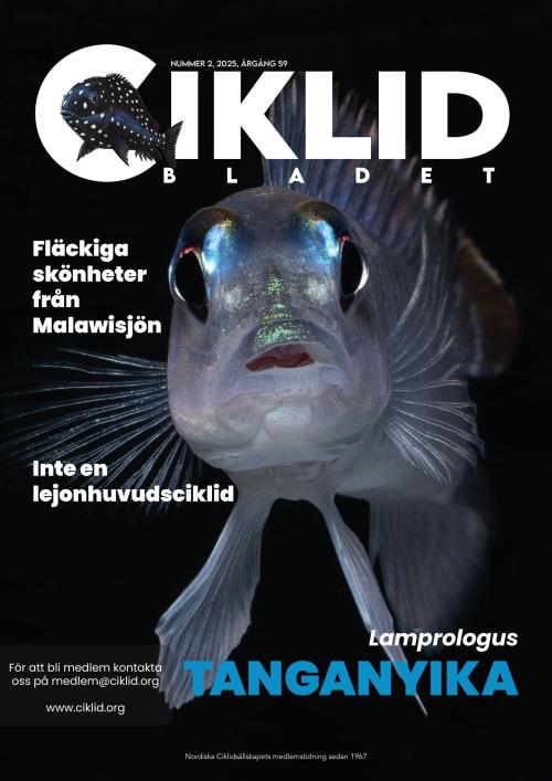 Ciklidbladet