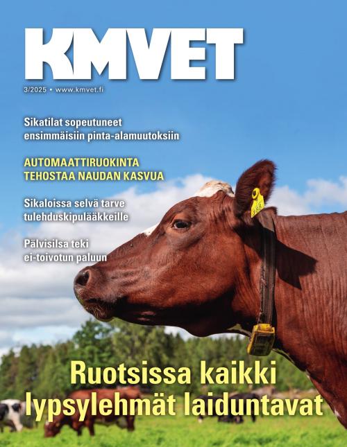 KM VET