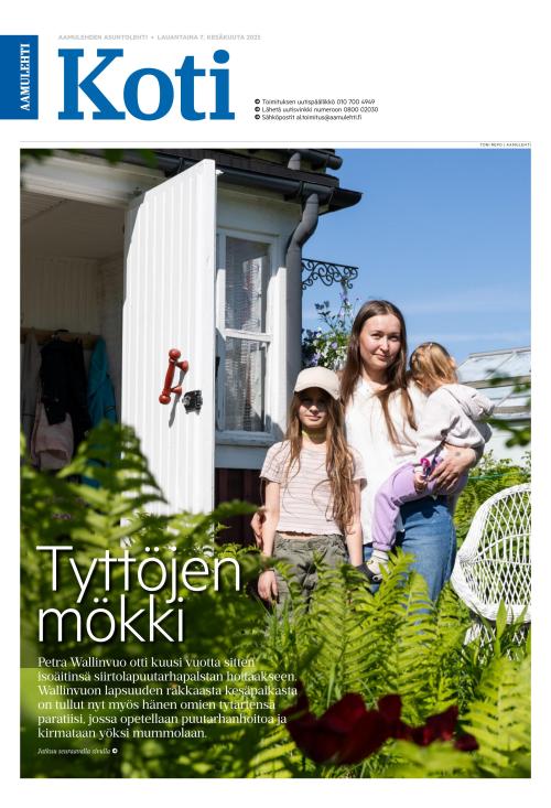 Aamulehti liitteet