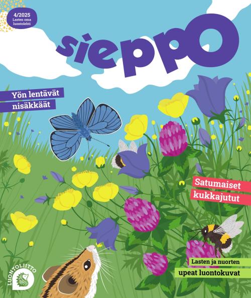 Sieppo