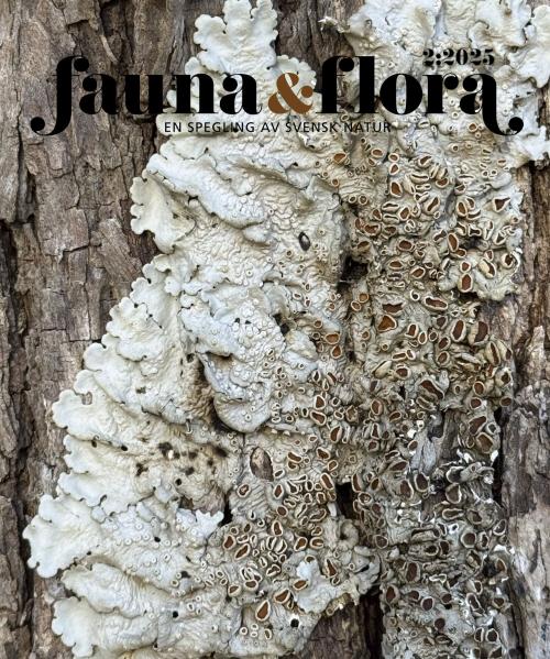 Fauna & Flora