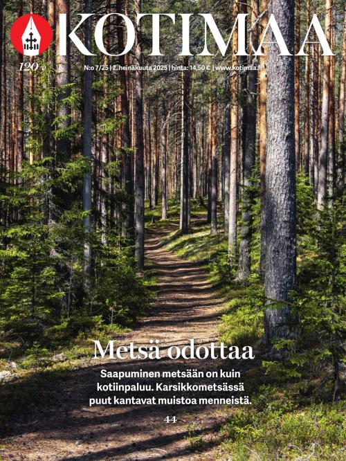 Kotimaa