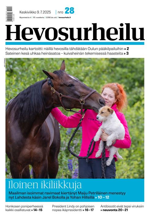 Hevosurheilu
