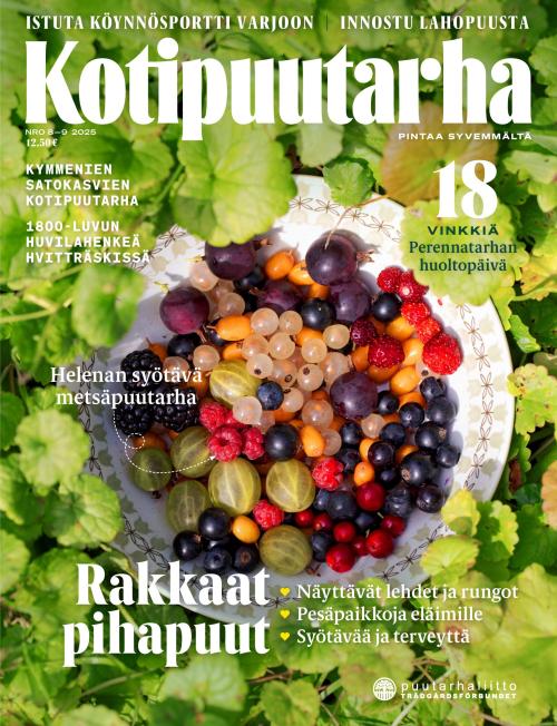 Kotipuutarha