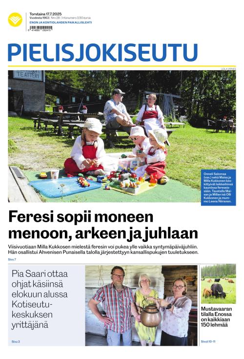 Pielisjokiseutu