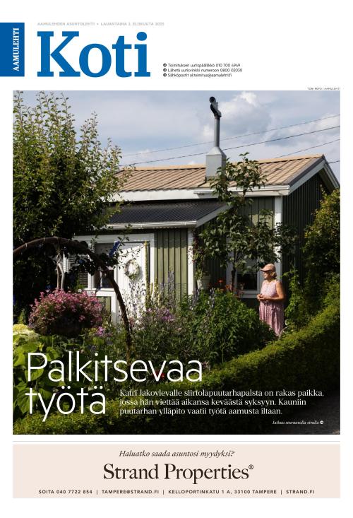 Aamulehti liitteet
