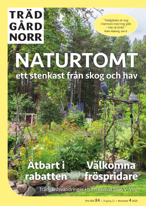 Trädgård Norr