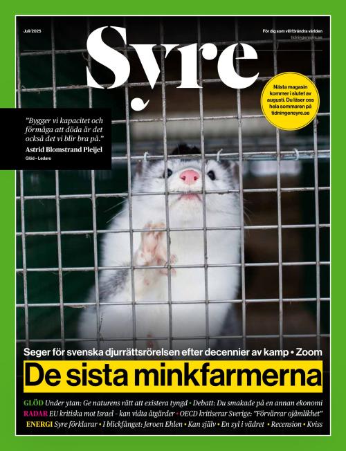 Syre