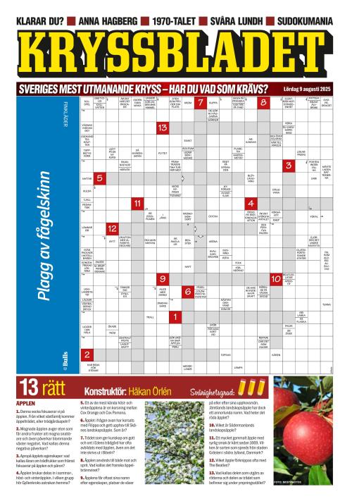 Aftonbladet Lördag