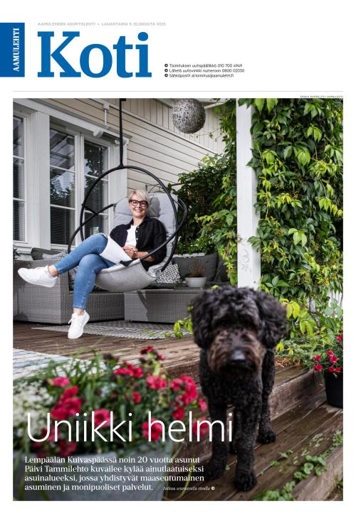 Aamulehti liitteet
