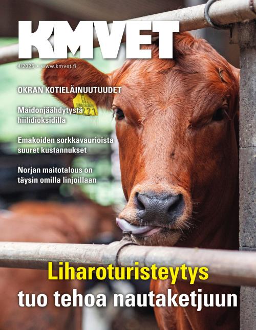 KM VET