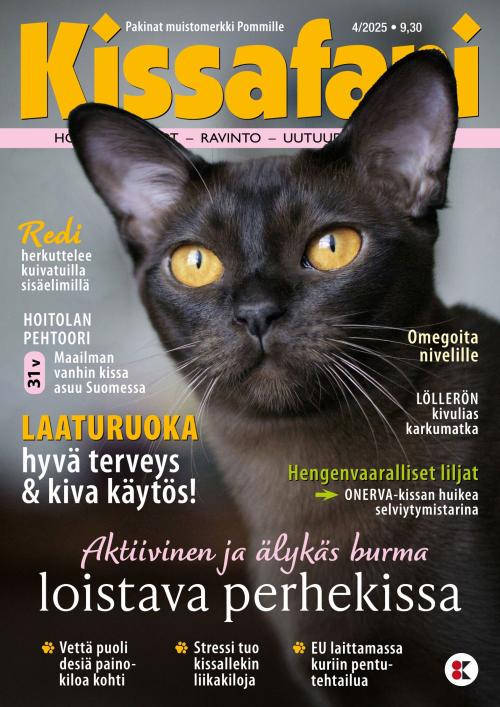 Kissafani