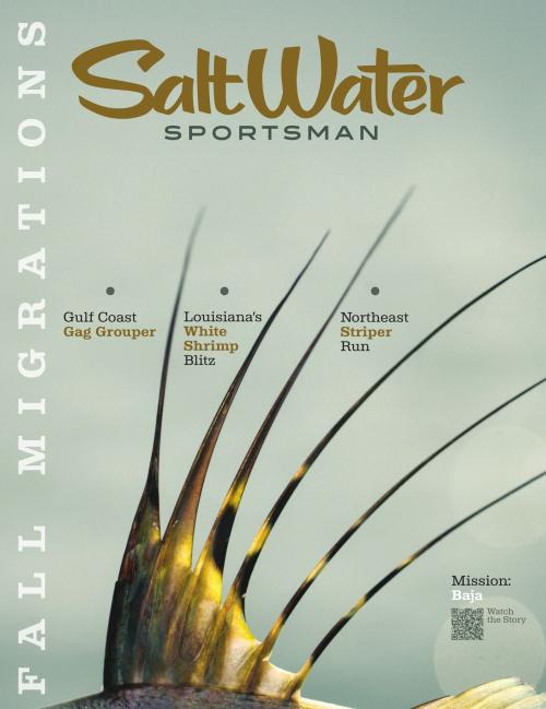 Salt Water Sportsman