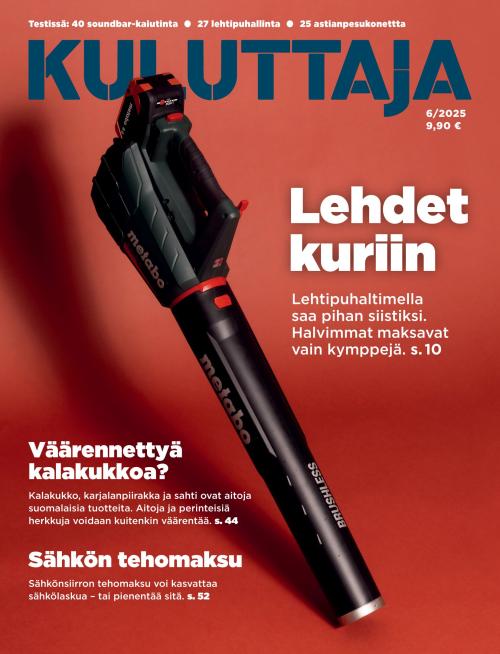 Kuluttaja