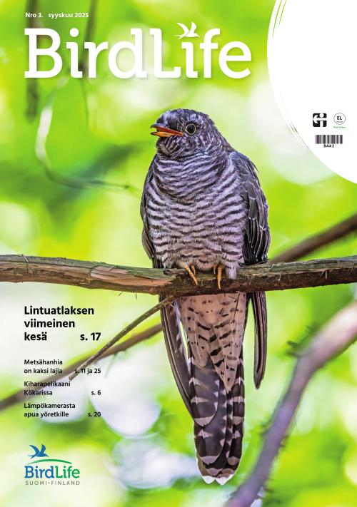 Birdlife