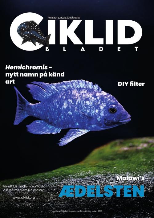 Ciklidbladet