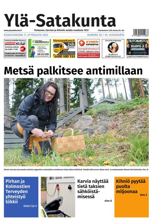 Ylä-Satakunta
