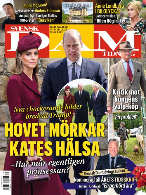Svensk Damtidning