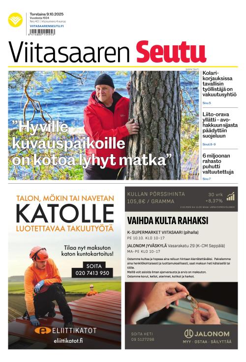 Viitasaaren Seutu