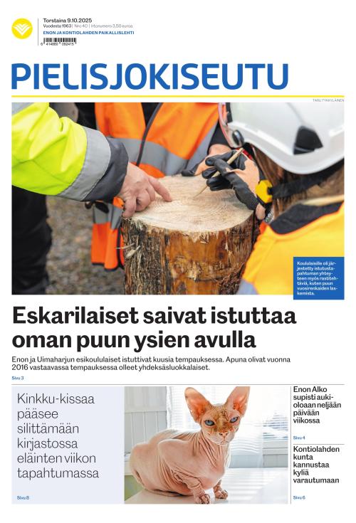 Pielisjokiseutu