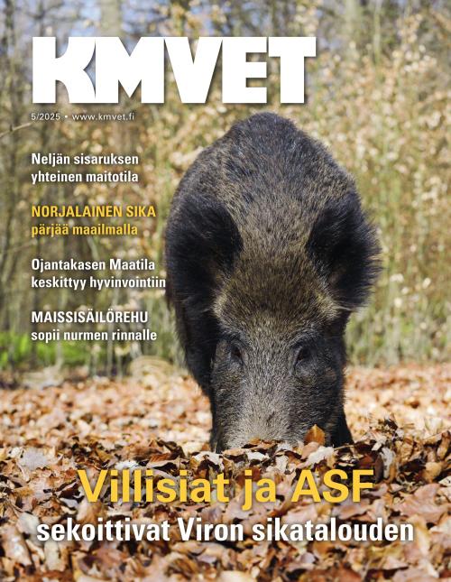 KM VET
