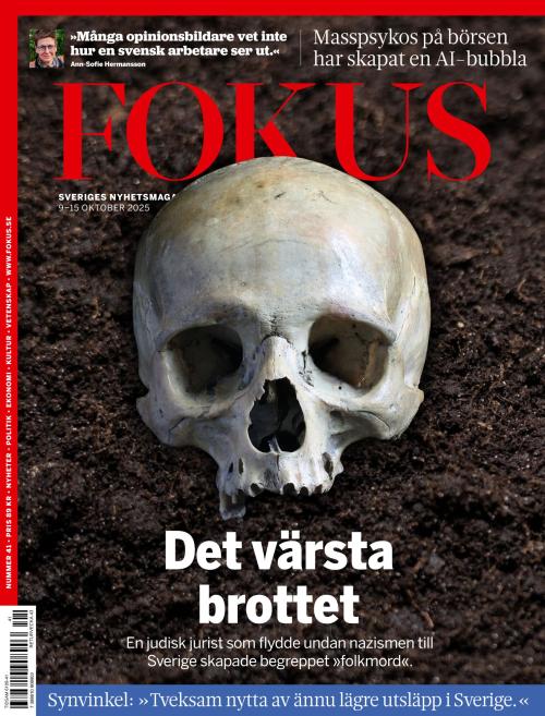 Fokus