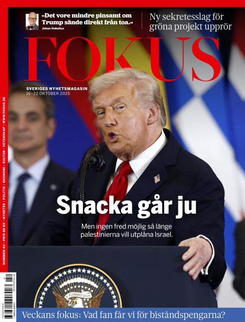 Fokus 42/2025