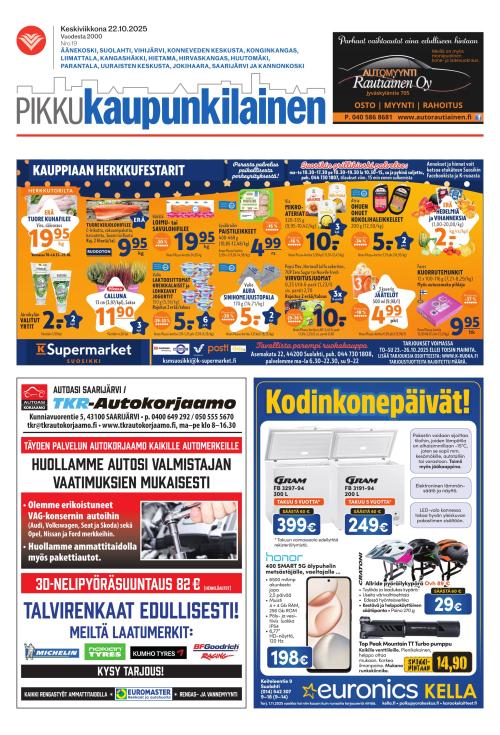 Pikkukaupunkilainen