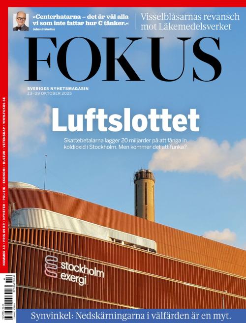 Fokus 43/2025