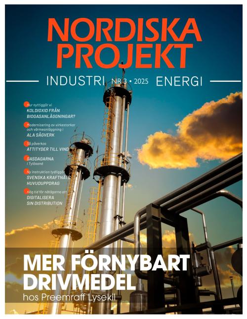 Nordiska projekt 3/2025