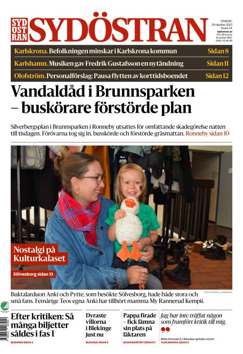 Sydöstran 29.10.2025