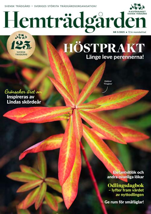 Hemträdgården 05/2025