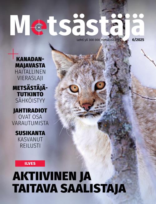 Metsästäjä 6/2025