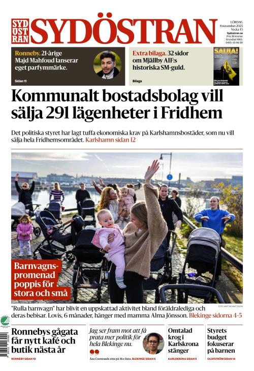 Sydöstran 8.11.2025