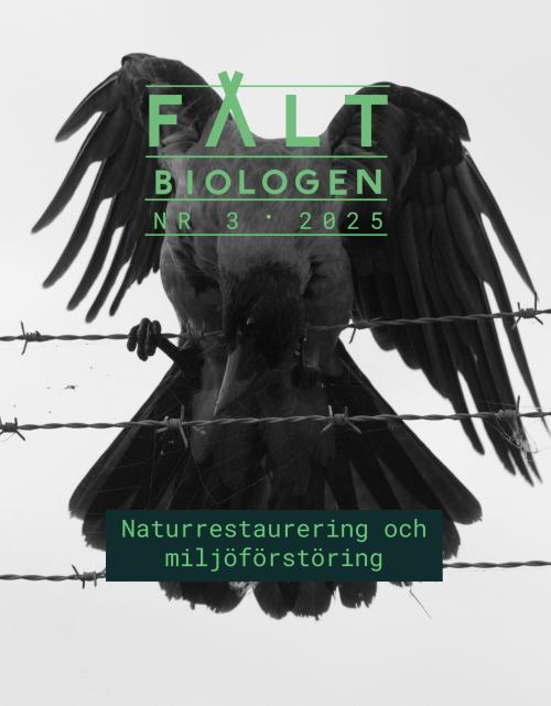 Fältbiologen 3/2025