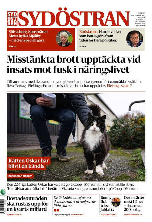 Sydöstran 12.11.2025