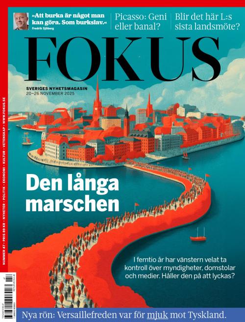 Fokus 47/2025
