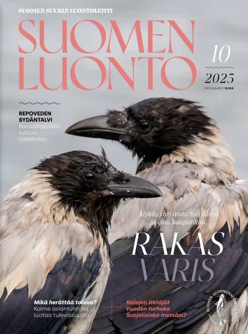 Suomen Luonto 10/2025